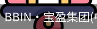 BIN宝盈集团